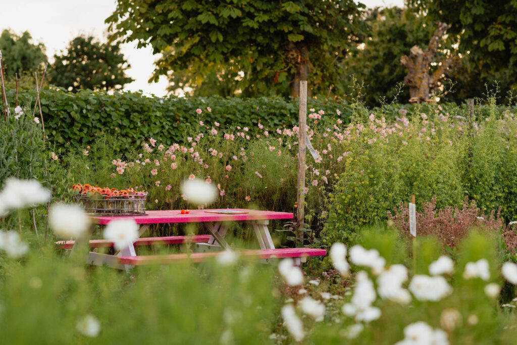 Outdoor en personal branding fotoshoot pluktuin Kweeklust Lisse