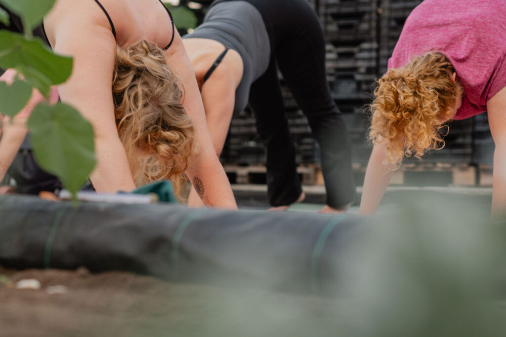 Personal branding fotoshoot yoga in pluktuin