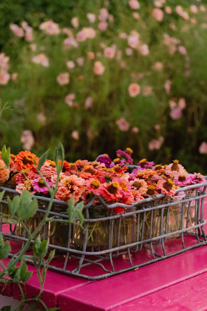 Buiten fotoshoot bloemen pluktuin Kweeklust Lisse