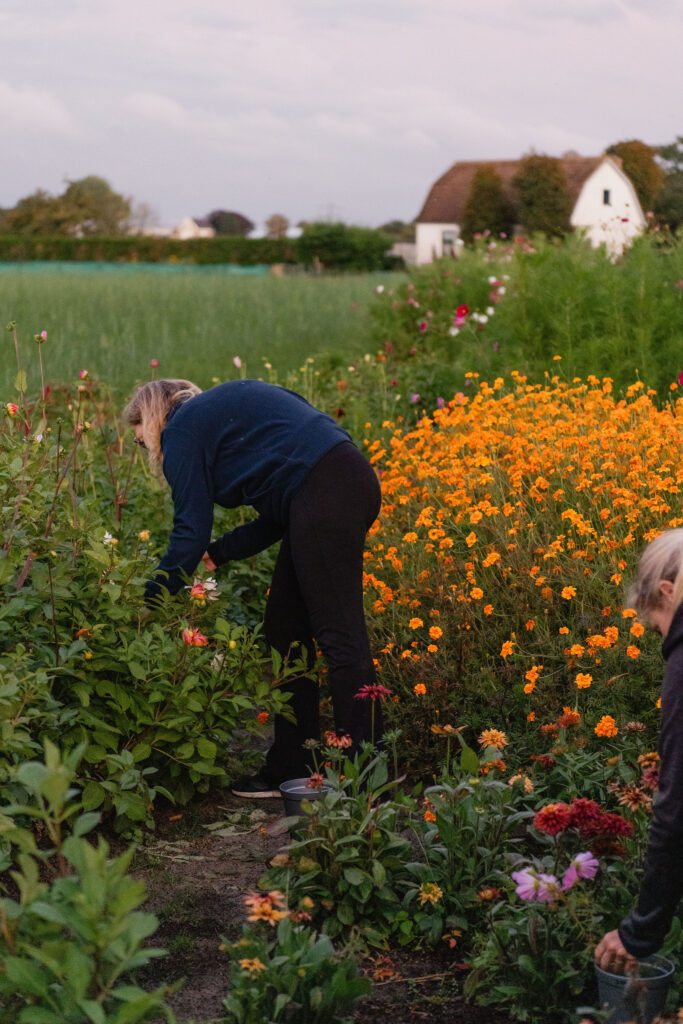 Personal branding fotografie bloemen plukken pluktuin Kweeklust Lisse