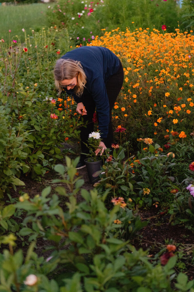 Personal branding fotografie bloemen plukken pluktuin Kweeklust Lisse