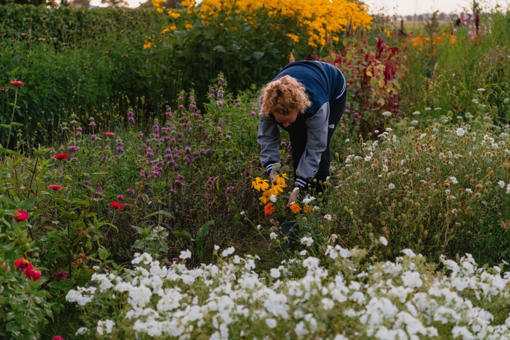 Personal branding fotografie bloemen plukken pluktuin Kweeklust Lisse