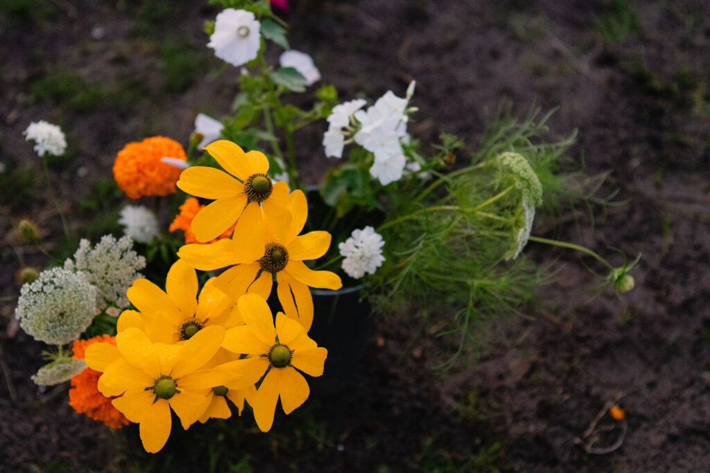 Personal branding fotografie boeket bloemen pluktuin Kweeklust Lisse